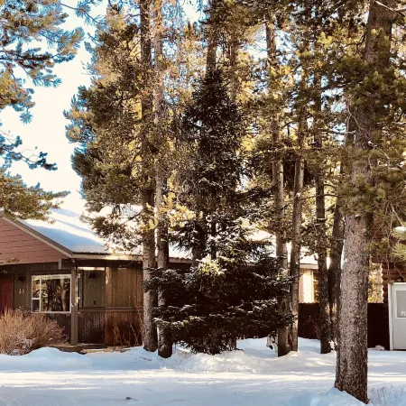Shepherd Family Retreats- Fox