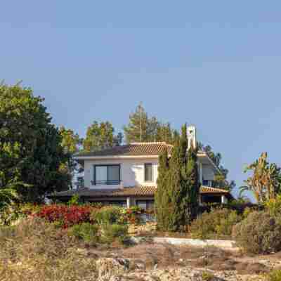 Ayia Napa Sycamore Seaview Hotel Exterior