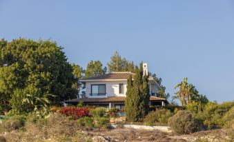 Ayia Napa Sycamore Seaview