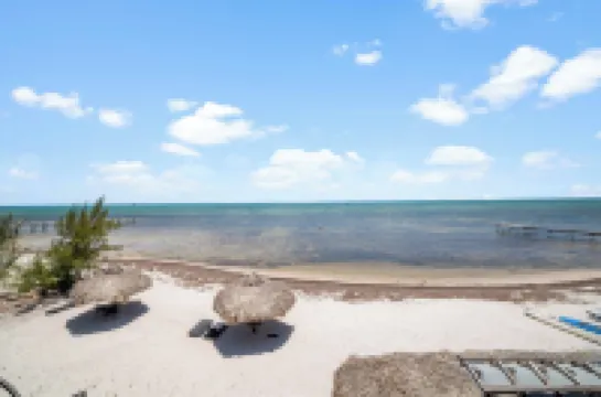 Barnacle Bed and Breakfast