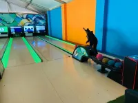 Ten Flags Theme Park