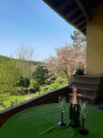 Family holiday, meeting with friends, enjoying the garden