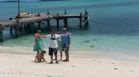 Buttercup Family Cottage beautiful beach, great snorkeling spot across the road - Beach