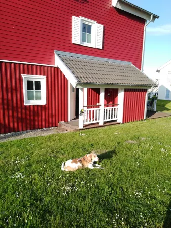 Scandinavian vacation home on the Baltic Sea, bookable for up to 4 adults/2 kids/1 dog