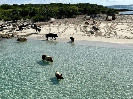 This is a great vacation home with oceans views