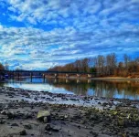 Private & cozy suite located in Fort Langley