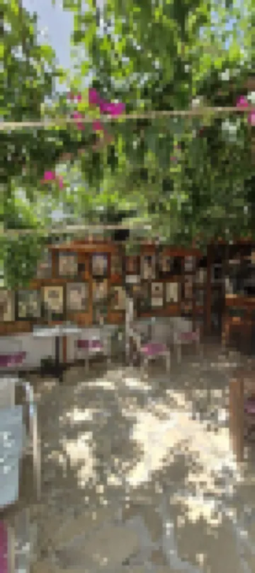 ŞİİRLİ PANSİYON