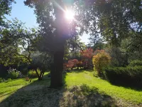 Villa Tucciano, 70 km from Rome, ideal for visiting Lazio, Umbria and Tuscany Hoteles en Orte