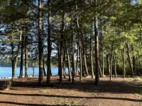 Luxury on the 3L chain sleeps 8+ at the Northernaire Resort's Premier Unit!