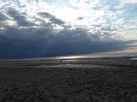 Beautiful studio by the beach