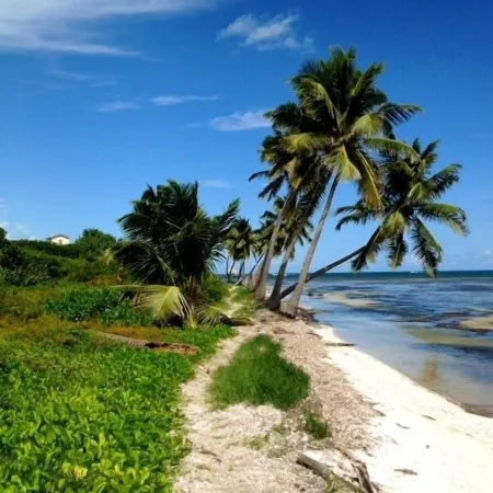 200/night! Perfect beach front condo with gorgeous views!  Ground floor access!
