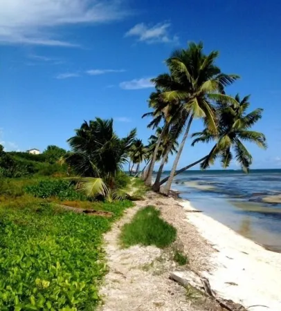 200/night! Perfect beach front condo with gorgeous views!  Ground floor access!