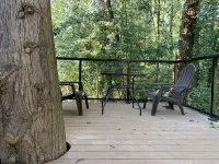 Yeti's Tree House: Where Dreams Come True