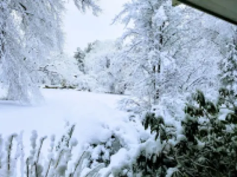 Journey Inn Bed & Breakfast Hotels in Hyde Park