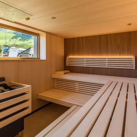 ''Die Bergerin'' | Appartements Schladming