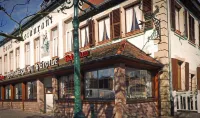 Logis Hôtel Restaurant Hostellerie de l'Étoile Hotels in Birkenwald