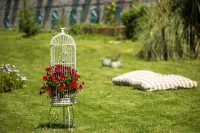 Agva Greenline Guesthouse (Adult Only +12)