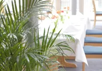 Hotel Alber - Aamiainen