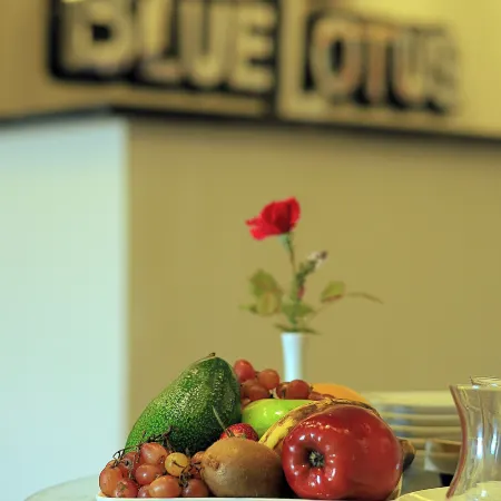 Blue Lotus Nile Suites Aswan Hotel