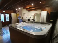 Logis Hôtel Centrotel et Spa Bulles d'Allier - spa