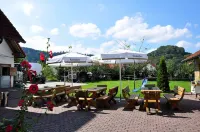 Landhotel Zur Pferdetränke Hotels in Tann