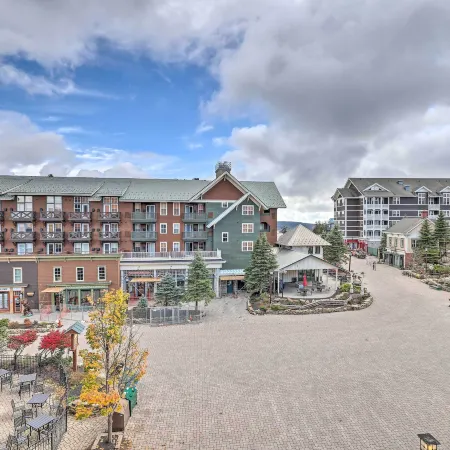 Ski-in/Out Condo in Snowshoe Mountain Resort!