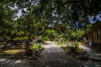 Agora Sanat Köyü - Quầy Bar