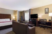Comfort Suites North Mobile - 2-Star