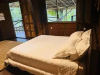 Ponta Poranga Jungle Lodge