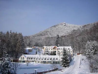 Horský Hotel Remata Hotels in 