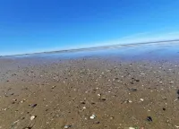 Chalet in de Haan Near Sandy Beaches