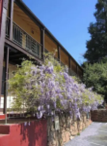 #10 1938 Historic Downtown Apt - King Bed- Kitchen