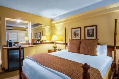 The Equus Hotel in zona EF Scuola di inglese - Corsi di inglese a Hawaii