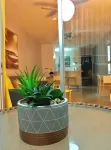 Beach Apartment, Walk to the Beach!