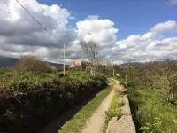 Cosy and character-filled studio apartment near Beaches Taormina and Mount Etna Các khách sạn ở Mascali