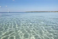 Can Sord- Apartment with large Terrace/Garden.  With A/C and wifi Hotels in Formentera