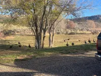 Cozy 3-bedroom cabin in peaceful Glade Park with WiFi, Heating & AC units