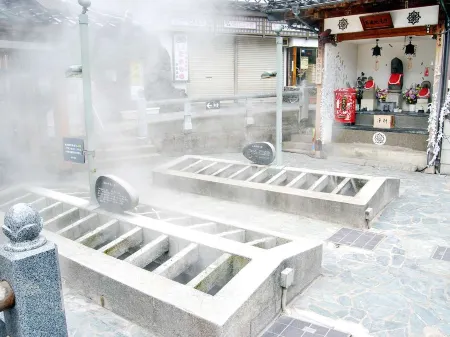 Hashimotoya Ryokan Отели в г. Синъонсен