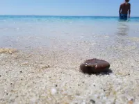 Tharros apartment Hotel a Cabras