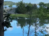 Luxury Waterfront Estate with Sunset Views, Dock, Kayaks & Paddle Board Hotels in North Sea