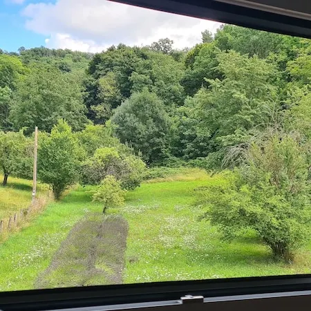 Vacation apartment Sonnenschein, 2 rooms, kitchen, bathroom in a fantastic location