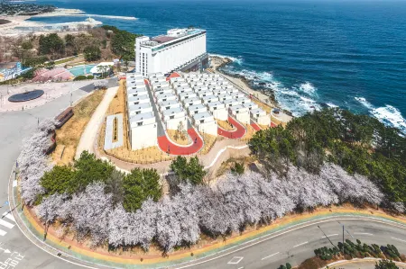 PANAQ OPERATED BY SONO