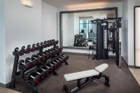 Embassy Suites by Hilton Gulf Shores Beach Resort - Gym