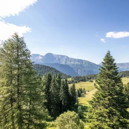 Peaceful Stay with Mountain View