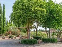 Banc Doli - Villa With Private Pool In Manacor -  case vacanza in affitto