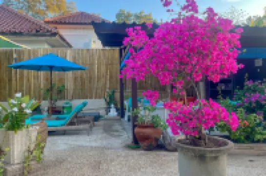 Kura Kura Resort Gili Meno Hotels near Gili Islands