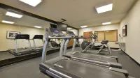 Holiday Inn Express BOSTON-MILFORD by IHG - Gym