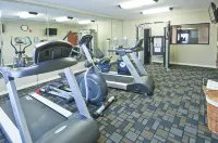 Holiday Inn Express & Suites LAKE CHARLES by IHG - Gym