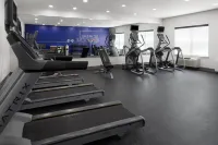 Holiday Inn Express & Suites WYOMISSING by IHG - Gym