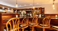 戈斯拉PLAZA INN酒店 - 酒吧